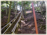 Jacob's ladder in Victoria Park, Truro