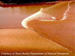 The Tidal Bore from the world famous Bay of Fundy