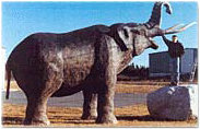 Mastodon Ridge Attraction Nova Scotia