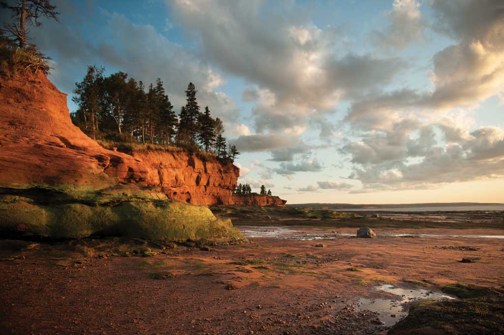 Sandstone cliffs at low tide
